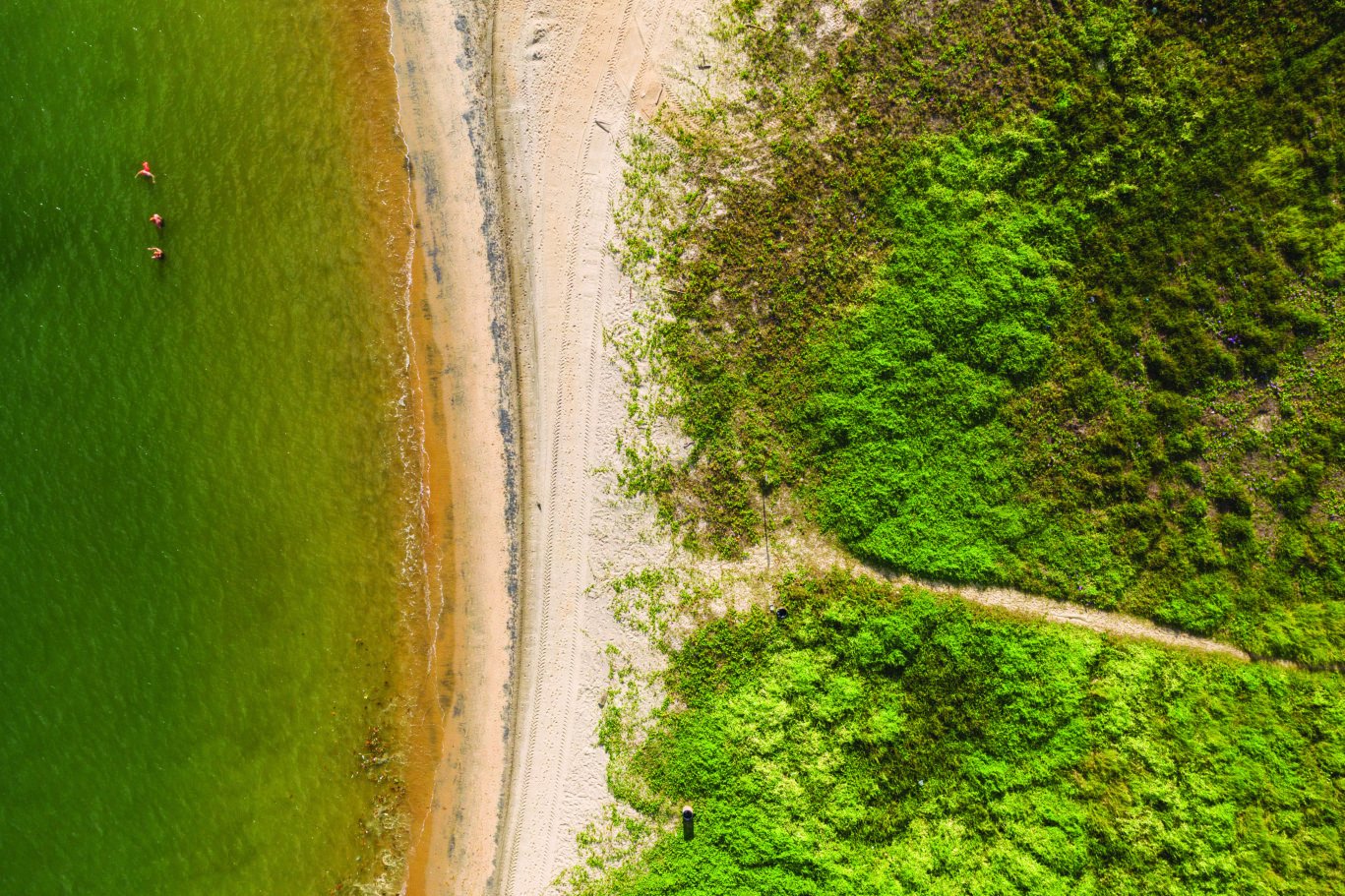 Ilha Vitória Ocean Front Residences — foto 1