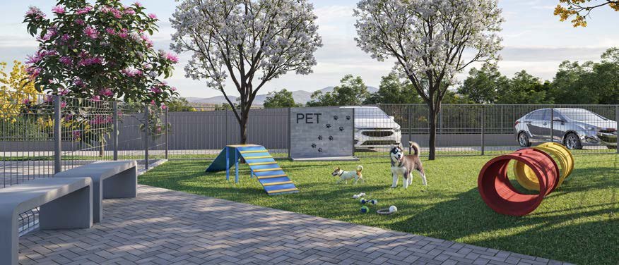 Vista do Arvoredo — foto 14