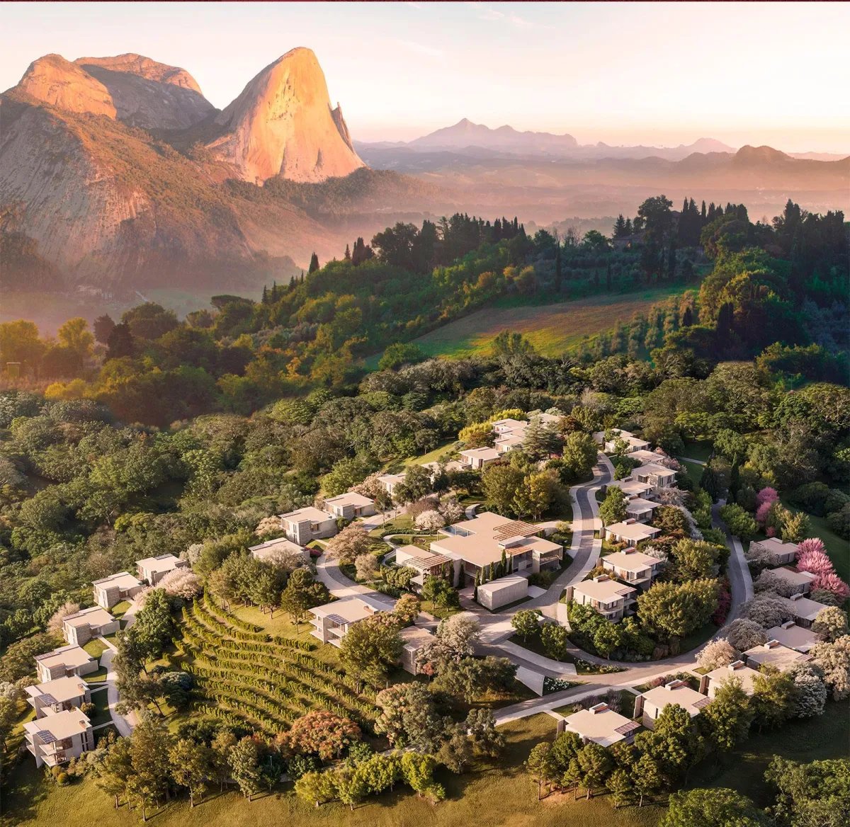 Vive Le Vin — foto 3