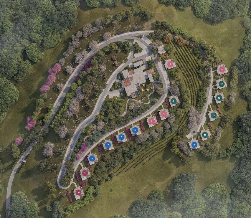 Vive Le Vin — foto 11