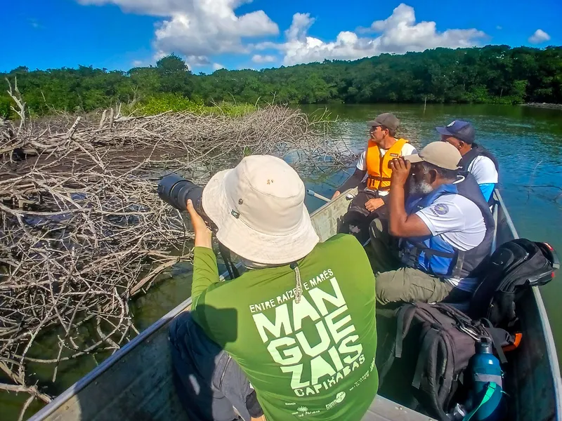Manguezais da Serra ganham visibilidade e relevância em projeto de conservação