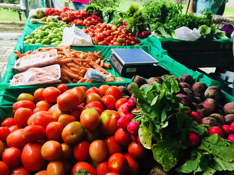Olericultura gera R$ 2,5 bilhões e consolida ES como celeiro de alimentos do Brasil